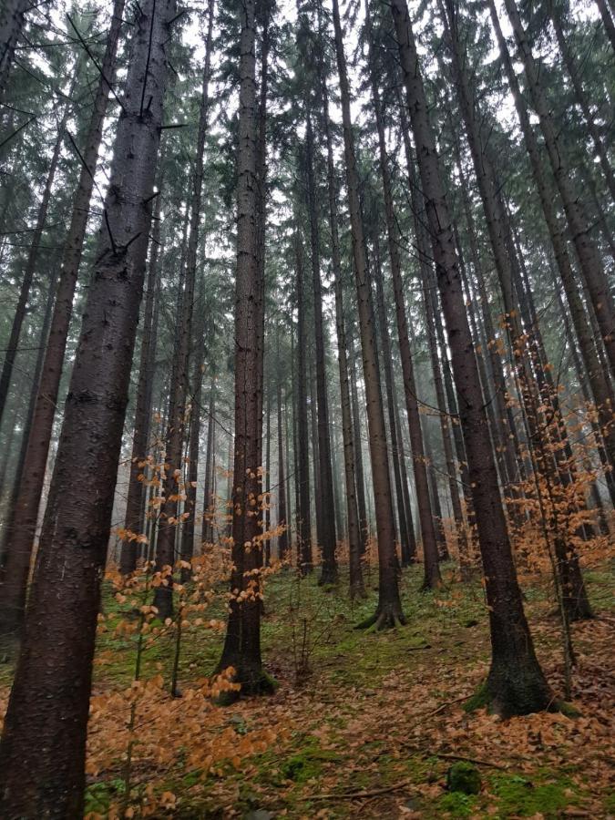 Horska Chata V Srdci Kremnickych Hor Banska Bystrica Exterior photo